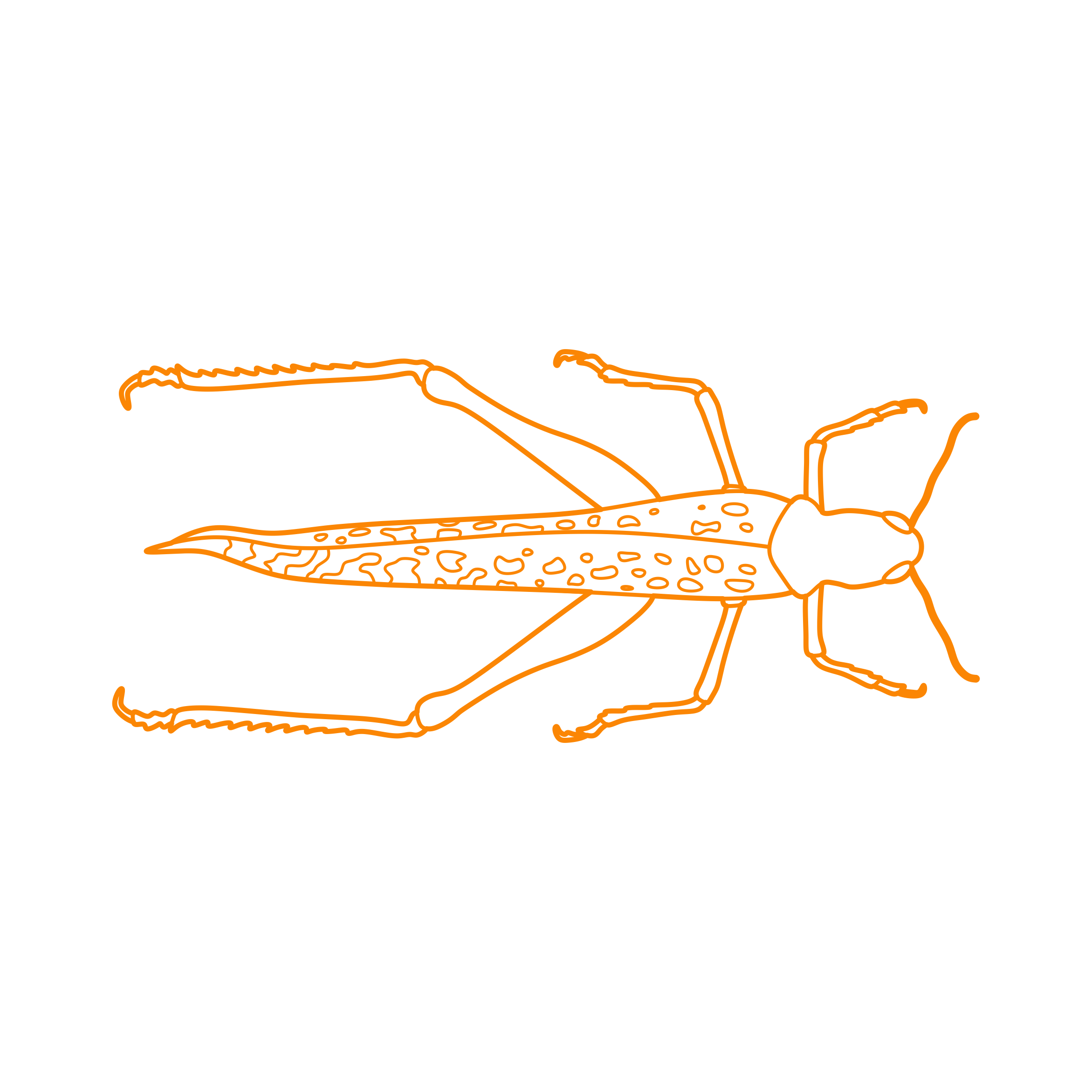 Animals Insects Desert Locust Outline Icon Svg Set Free Vectors